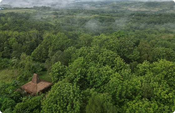 Taman Nasional Birdwatching Site Kambatawundut